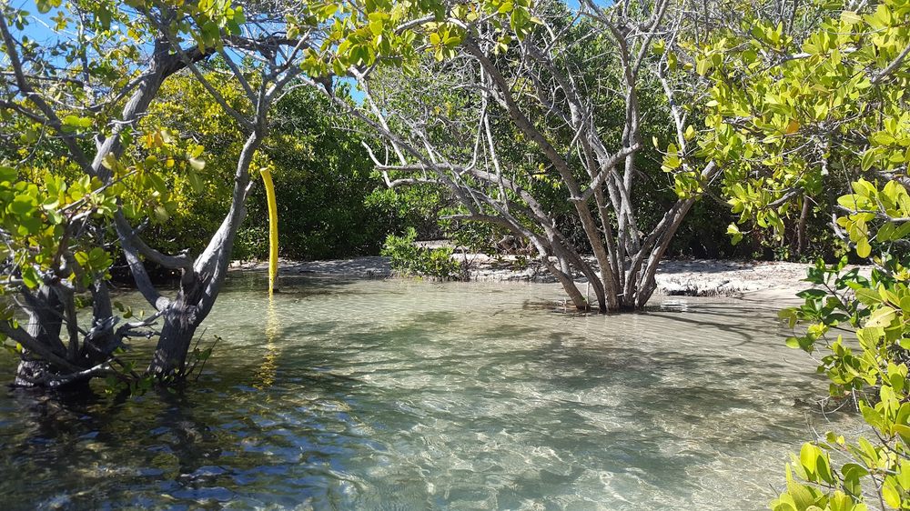 Guilligan Island Image