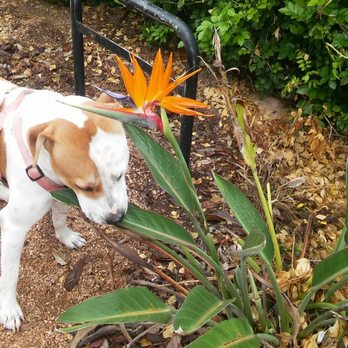 Bill Schupp Park - Smelling the flowers;-) - Parks Near Me - McAllen, Texas Bill Schupp Park - Smelling the flowers;-) - Parks Near Me - McAllen, Texas