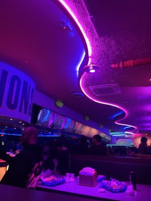 Xanadu Roller Arts by null