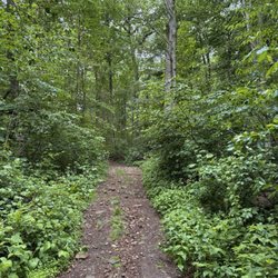 One of the trails!