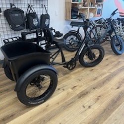 Pedego - New Fat Tire Trike