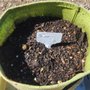 Photo of BJ Gourmet Garlic Farm