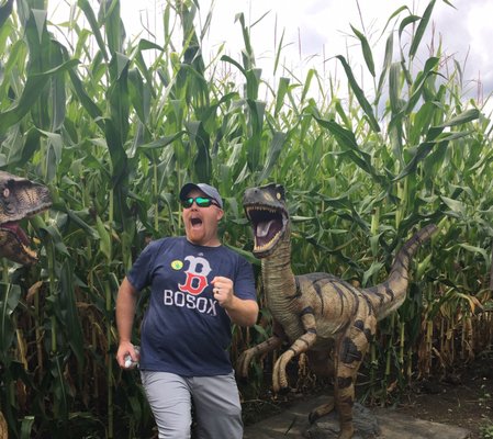 Great Vermont Corn Maze by null