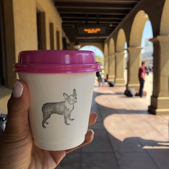 Dart Coffee Co - Love the packaging - Coffee Roasteries Near Me - Santa Barbara, California