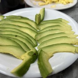 Frankie’s Restaurant - Even the side of avocado is served beautifully
