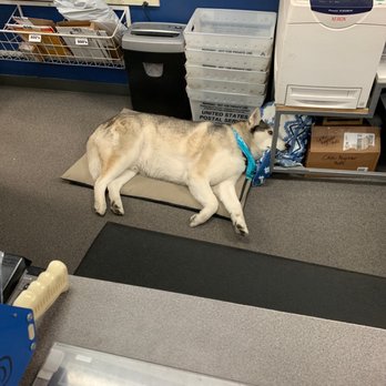 Foothill Post & Ship - Vonya is always so chill! - Shipping Centers Near Me - Foothill Ranch, California