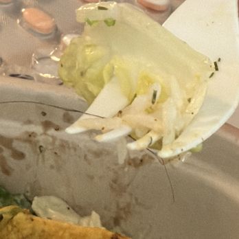 sweetgreen - Healthy Salads, Bowls and Plates - Hair in food - Salad Near Me - Chicago, Illinois