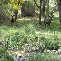 Riverview RV Park