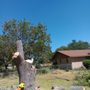 Photo of Rivera's Tree Service