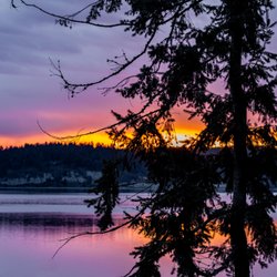 City of Sequim - City of Sequim, WA