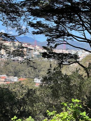 Buena Vista Park by null