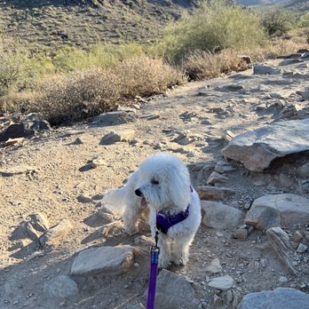 Gateway Trailhead - Hiking Near Me - Scottsdale, Arizona Gateway Trailhead - Hiking Near Me - Scottsdale, Arizona