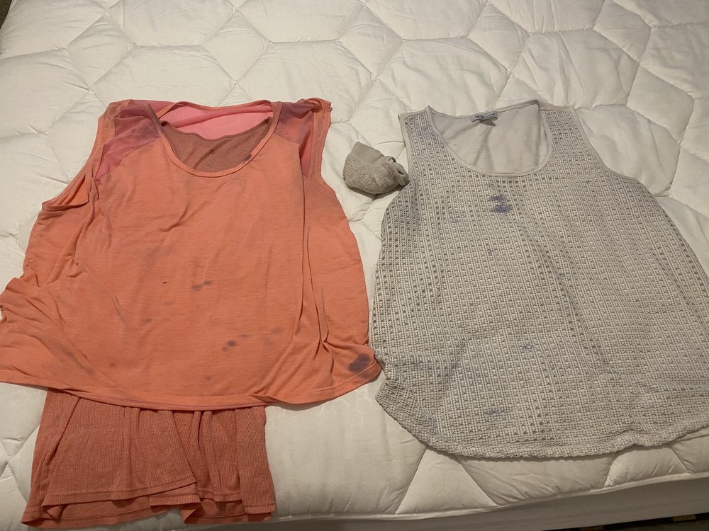 HOLLYWOOD COIN LAUNDRY Updated October 2024 10 Photos & 24 Reviews