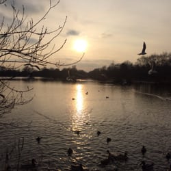 Attenborough Nature Reserve - Beautiful sunset
