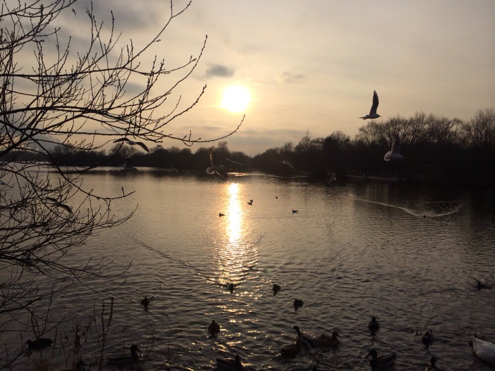 Attenborough Nature Reserve