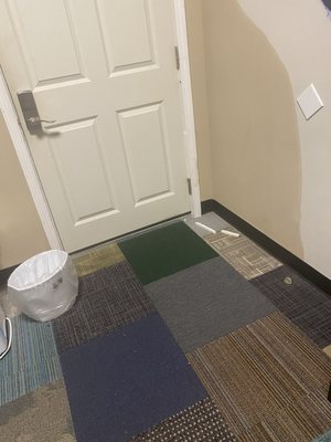 City House New Orleans by null