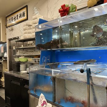 Golden Wonton King - Seafood - Cantonese Near Me - Flushing, New York