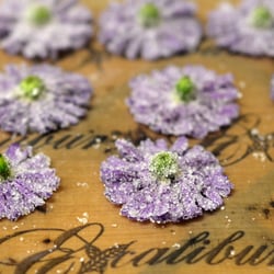 Henzls Ernte - Henzls Ernte | in Handarbeit hergestellte Zuckerblüten