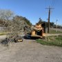 DeLaGarza Tree Service