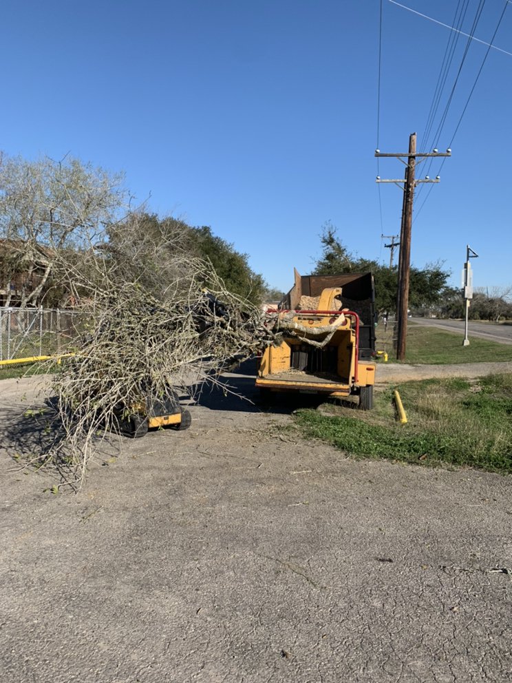DELAGARZA TREE SERVICE Updated September 2024 Beeville, Texas