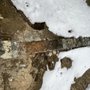 Photo of Septic Advisor