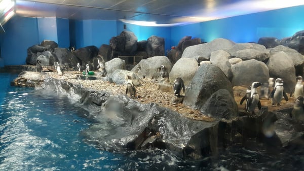 Underwater World Langkawi by null