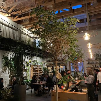 Arcana - Nurseries & Gardening Near Me - San Francisco, California Arcana - Nurseries & Gardening Near Me - San Francisco, California