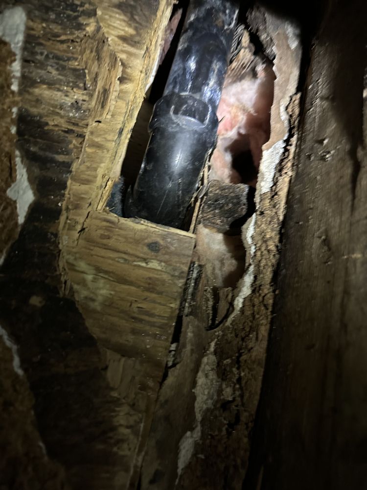 Slide of Chris The Plumber