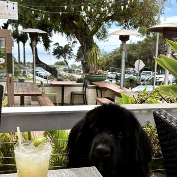 Sbicca Del Mar - Margarita - Wine Bars Near Me - Del Mar, California