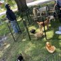 Photo of The Charm Farm