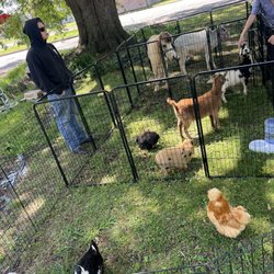 The Charm Farm