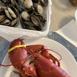 Beach Plum Lobster Farm