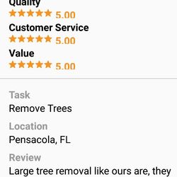 Lego's Handyman Services - And another stellar review for the guys