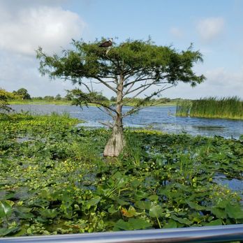 Airboat Wilderness Rides - Boat Charters Near Me - Fellsmere, Florida Airboat Wilderness Rides - Boat Charters Near Me - Fellsmere, Florida