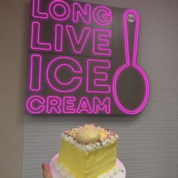 Ice cream cake