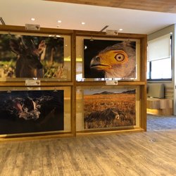 Gol VIP Lounge