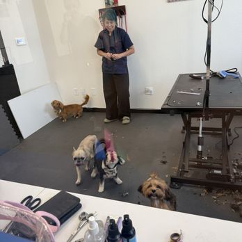 K9 Rox Club - Pet Groomers Near Me - Las Vegas, Nevada K9 Rox Club - Pet Groomers Near Me - Las Vegas, Nevada
