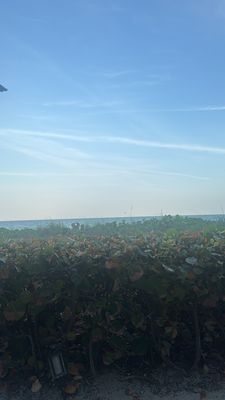 Sea Salt Beach Bar and Restaurant by null