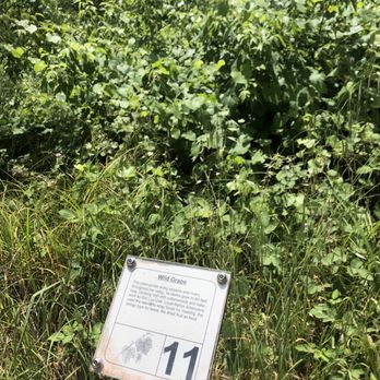 Lodi Lake Nature Trail - Parks Near Me - Lodi, California