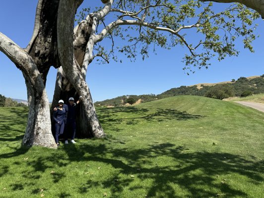 Cordevalle by null