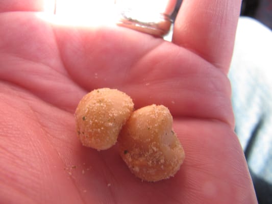 Mauna Loa Macadamia Nut Visitor Center by null