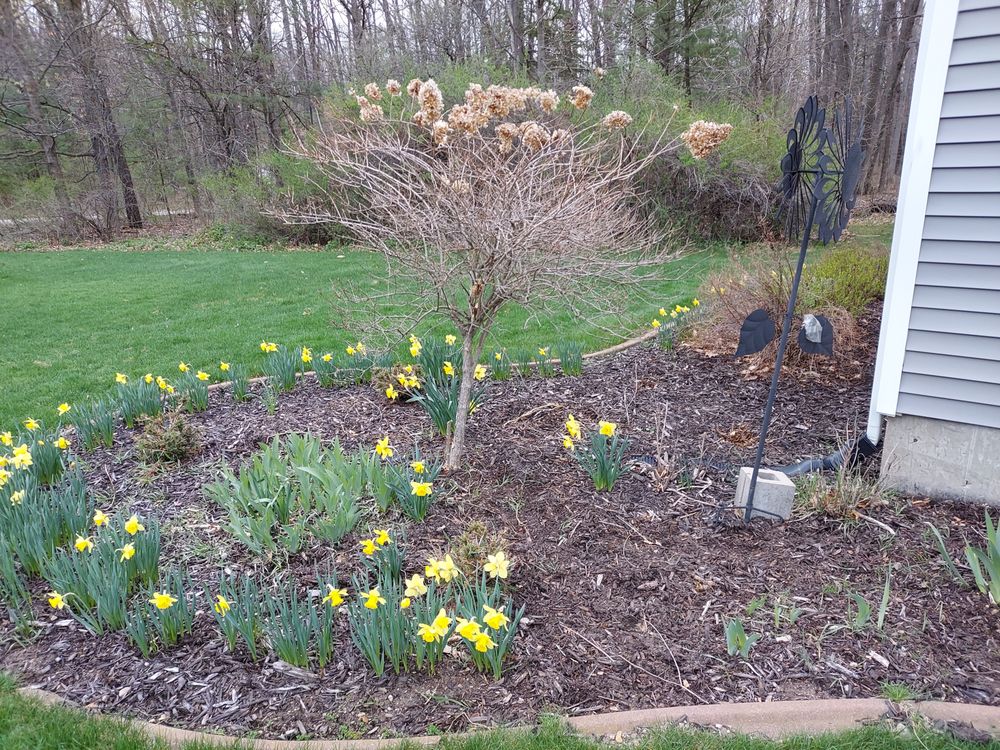 Slide of Northern Handyman Services