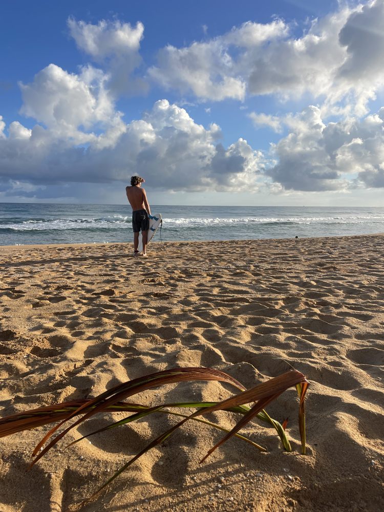 FAITHS SURF LESSONS Deerfield Beach, Florida Surfing Phone Number