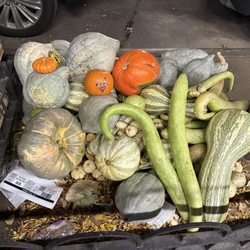 Lincoln Market - Halloween decorations :)