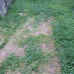 Montgomery Village Foundation Incorporated - This is the one out grass going down a hill next to my house. The association didn't see a problem with it. But they are going to revisit it