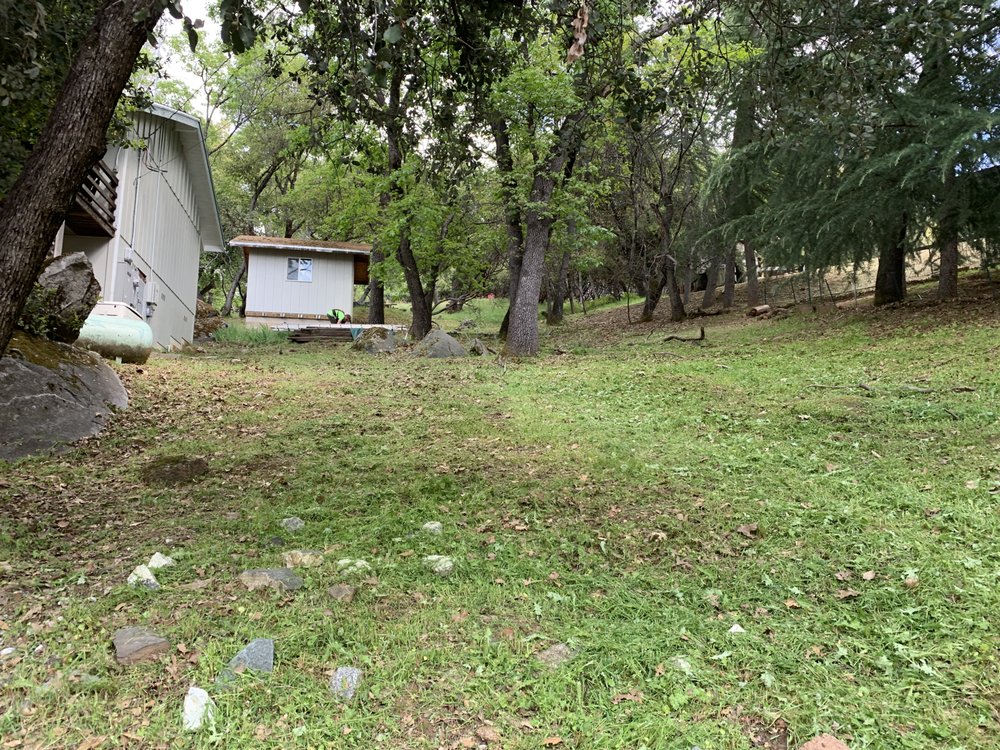 Slide of Wacky Weedeating