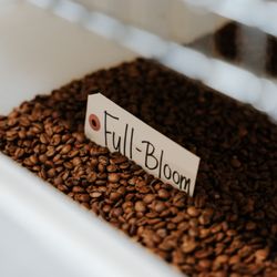 Speedwell Coffee