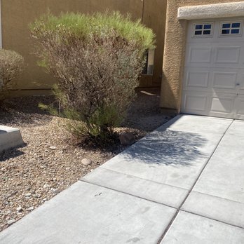 Enpark Landscape - Before - Tree Services Near Me - Las Vegas, Nevada