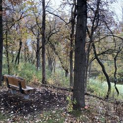 Rahn Park - Bench on the trail