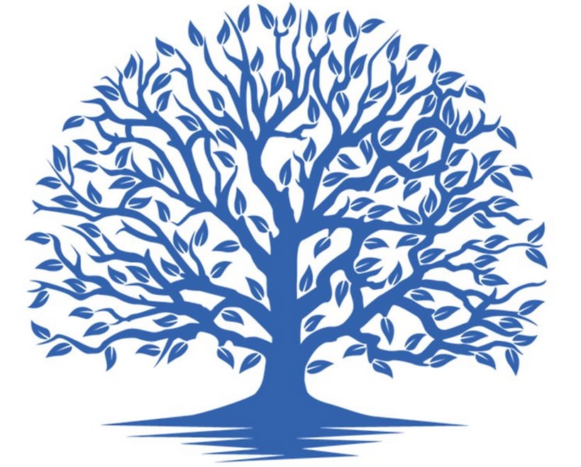 Wellspring Learning - reading tutor in Westfield, NJ